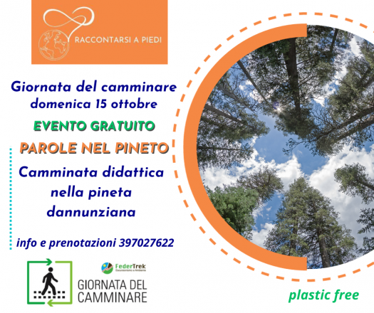 Parole nel pineto